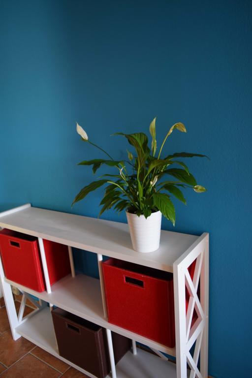 Obstkorb Stralsund Apartment Стая снимка